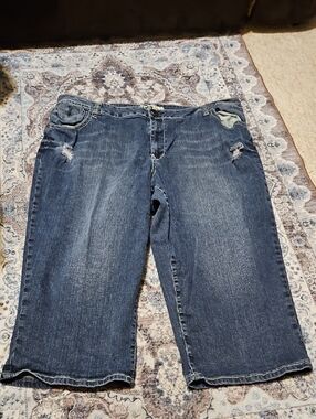 Zanadi Indigo Blue Denim Waistband Detail